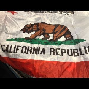 California republic flag 5ftx 3ft